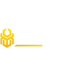 Book of Bet  Casino